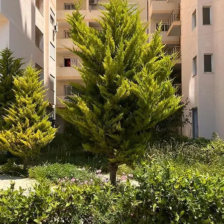 Apartment Mire *
